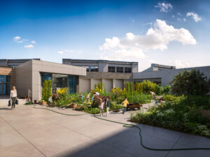 American School of Warsaw